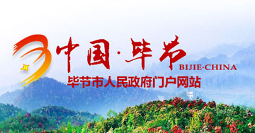 贵州毕节政府网